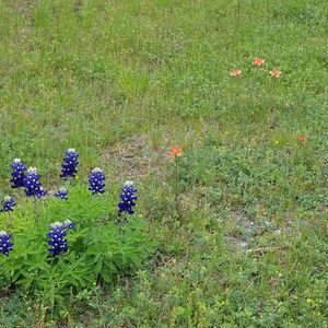 Meet your Posher, Brad